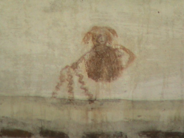 DSC00736