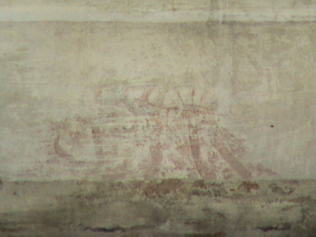 DSC00739
