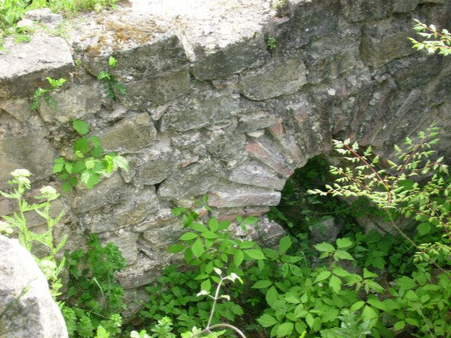 PICT0448