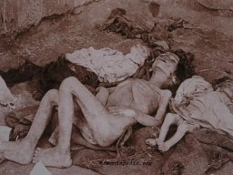 armenian_genocide_turkey_large