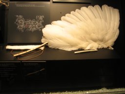 IMG_0045
