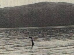 lochness 1970s