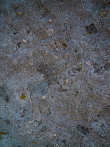 DSCN3019-1