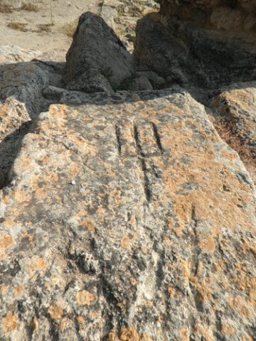 Trizybec (2)
