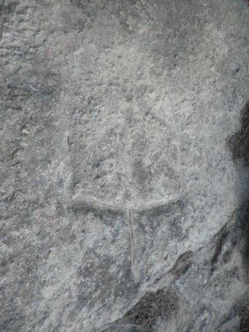 Trizybec (3)