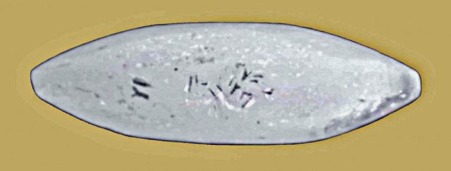 YI Anatolia 2250 g. pr. n.e.