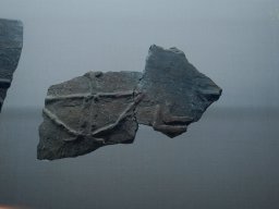DSC_3692-1~0
