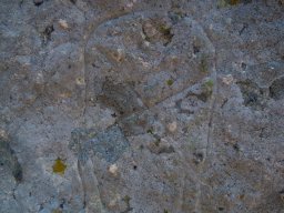 DSCN3019-1
