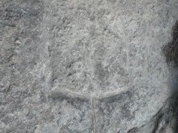 Trizybec (3)