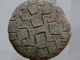 Koprivets rusensko (1)-1