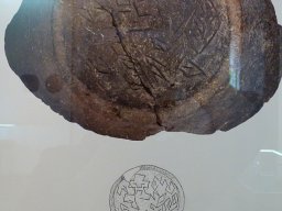 Samovodene (1)-1