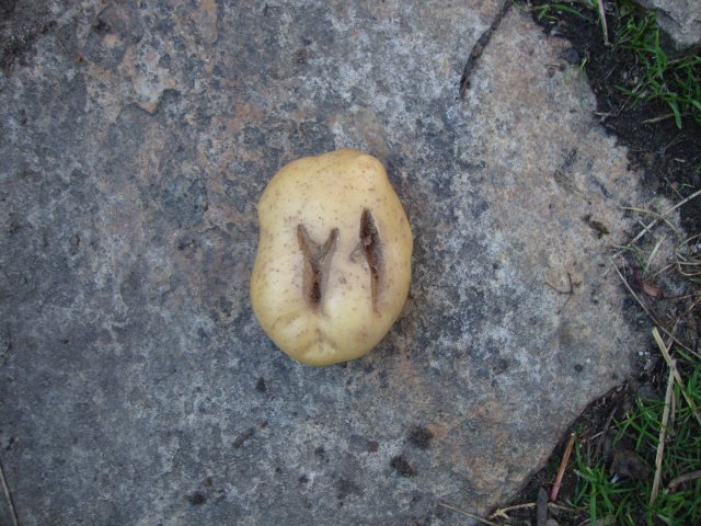 DSC05027