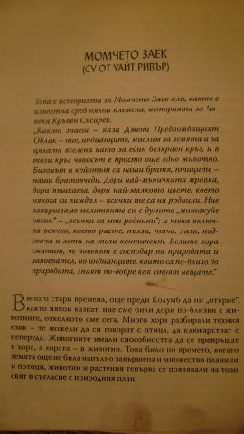 Момчето Заек1