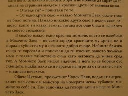 Момчето Заек3