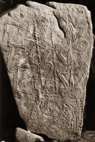 Stolovatetz_stellae_Razlog_Museum_Bulgaria