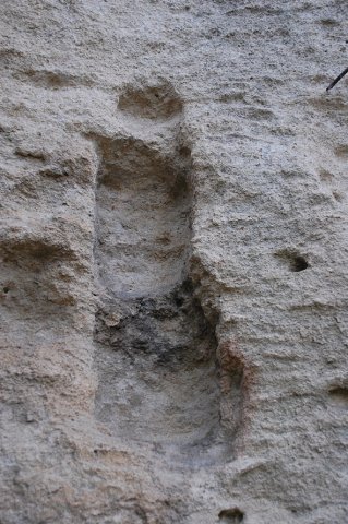 DSC_9699