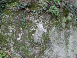 DSC_9660