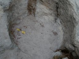 PB080027