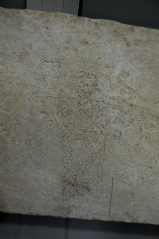 DSC_0308-1