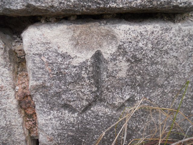 DSCN4523