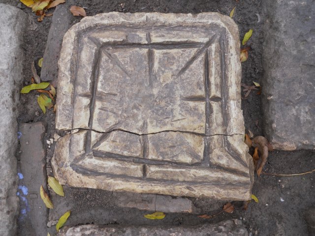 DSCN4555