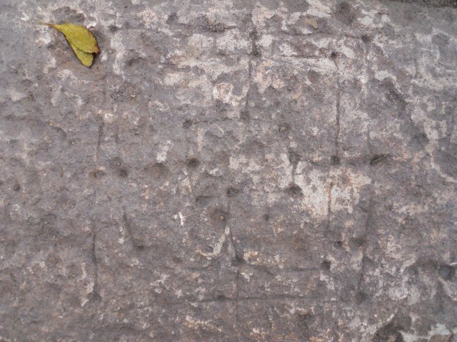 DSCN4559