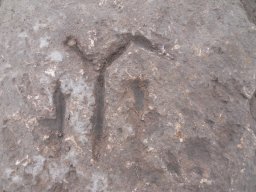 DSCN4557