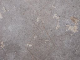 DSCN4553