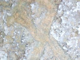 IMG_20181008_120755_363