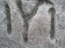 raiuvkamuk