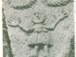 Slynca