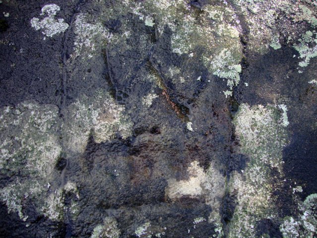DSC09729-1