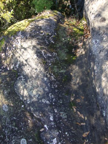 DSC09777-1