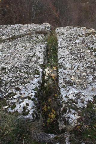 IMG_9656_2