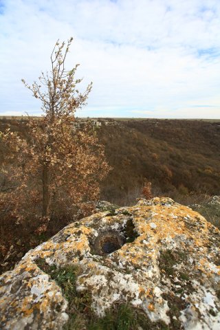 IMG_9657_2