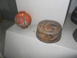 DSCN7386