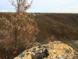 IMG_9657_2