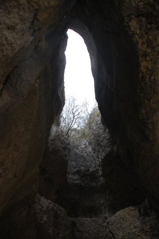 DSC_5408-1