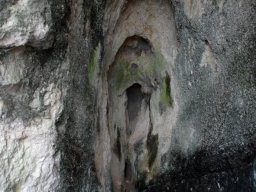 DSC_5382-1