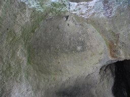 DSC_5409-1