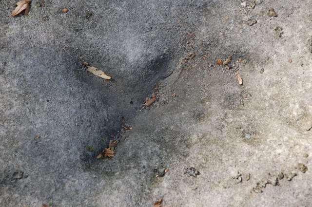 DSC_9540