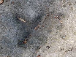 DSC_9540