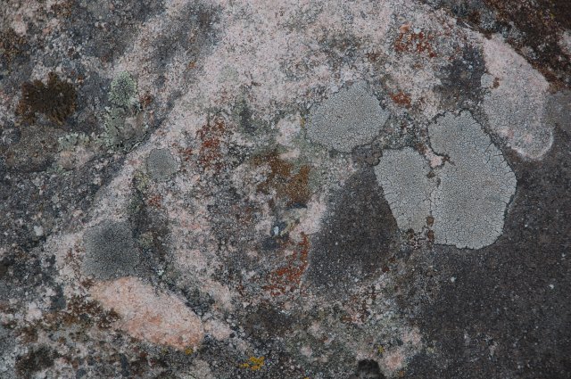 DSC_6075