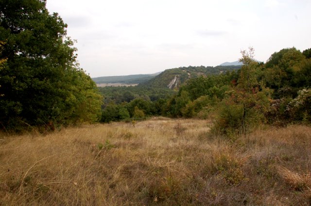 DSC_7810-1