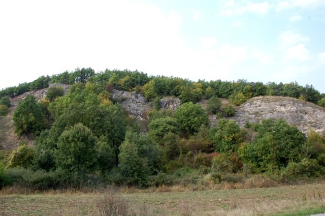 DSC_7814-1