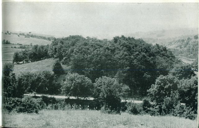Zaminec_obsht izgled
