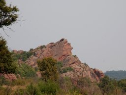 DSC_7800-1