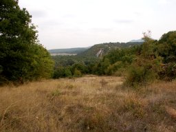 DSC_7810-1