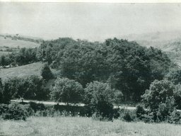 Zaminec_obsht izgled
