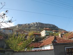 DSC_1239-1